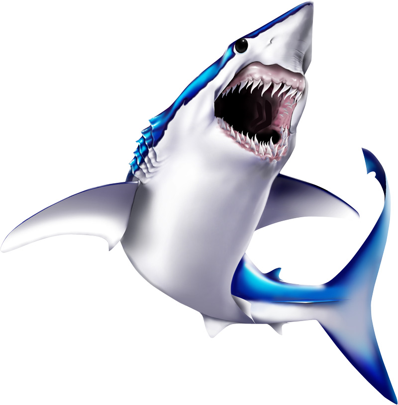Shark Graphics - Cliparts.co