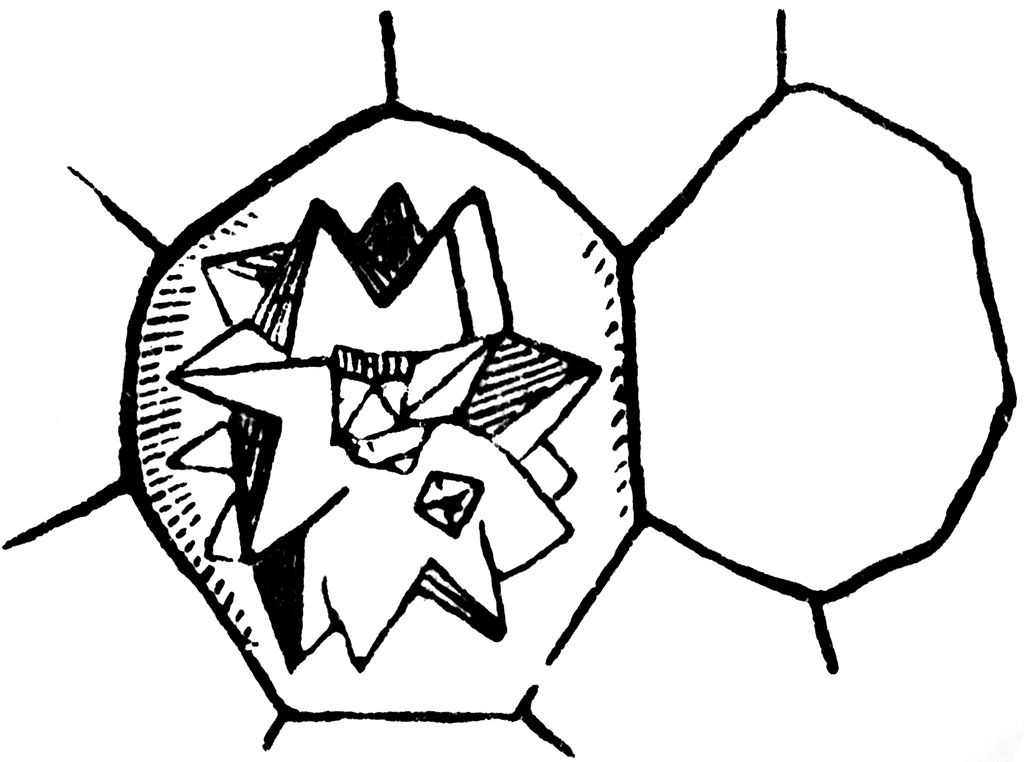 Glomerate crystal | ClipArt ETC