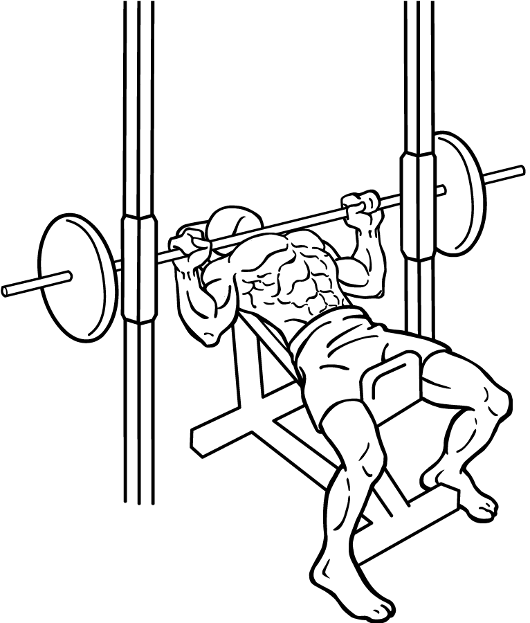 Smith Machine Incline Bench - An Upper Chest Exercise for your ...