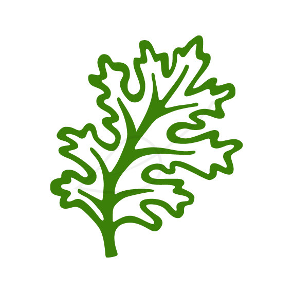 Popular items for vegetables clip art on Etsy