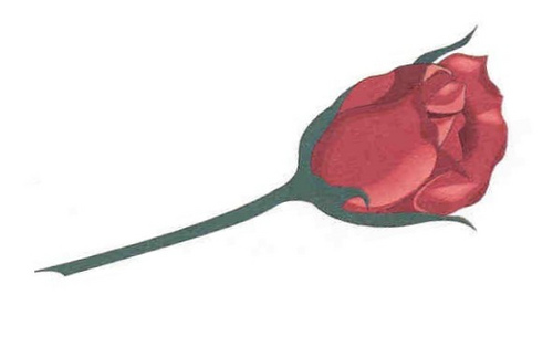 Rose-cartoon | Flickr - Photo Sharing!