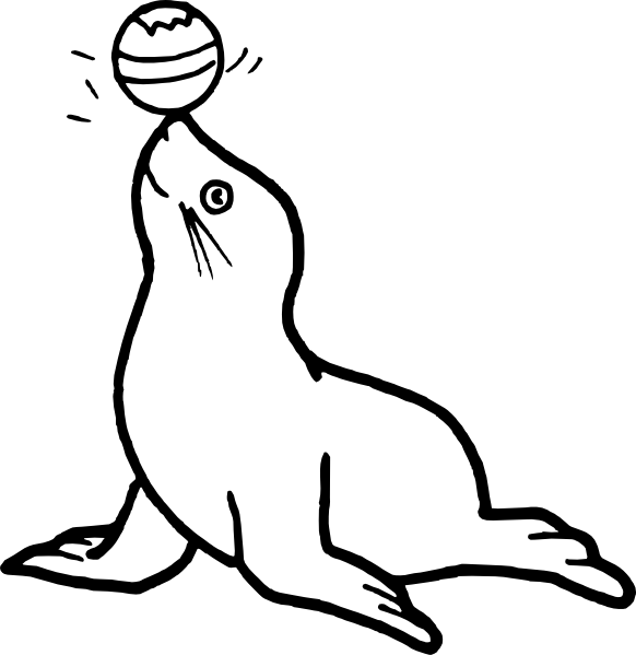 white - Camera Webfreind