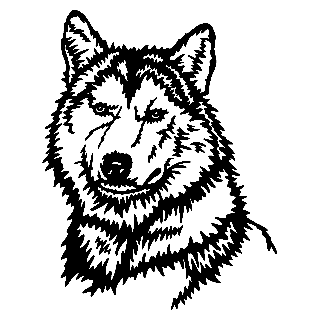 Husky Dog Sketch - SignTorch custom vector art for CNC machine ...