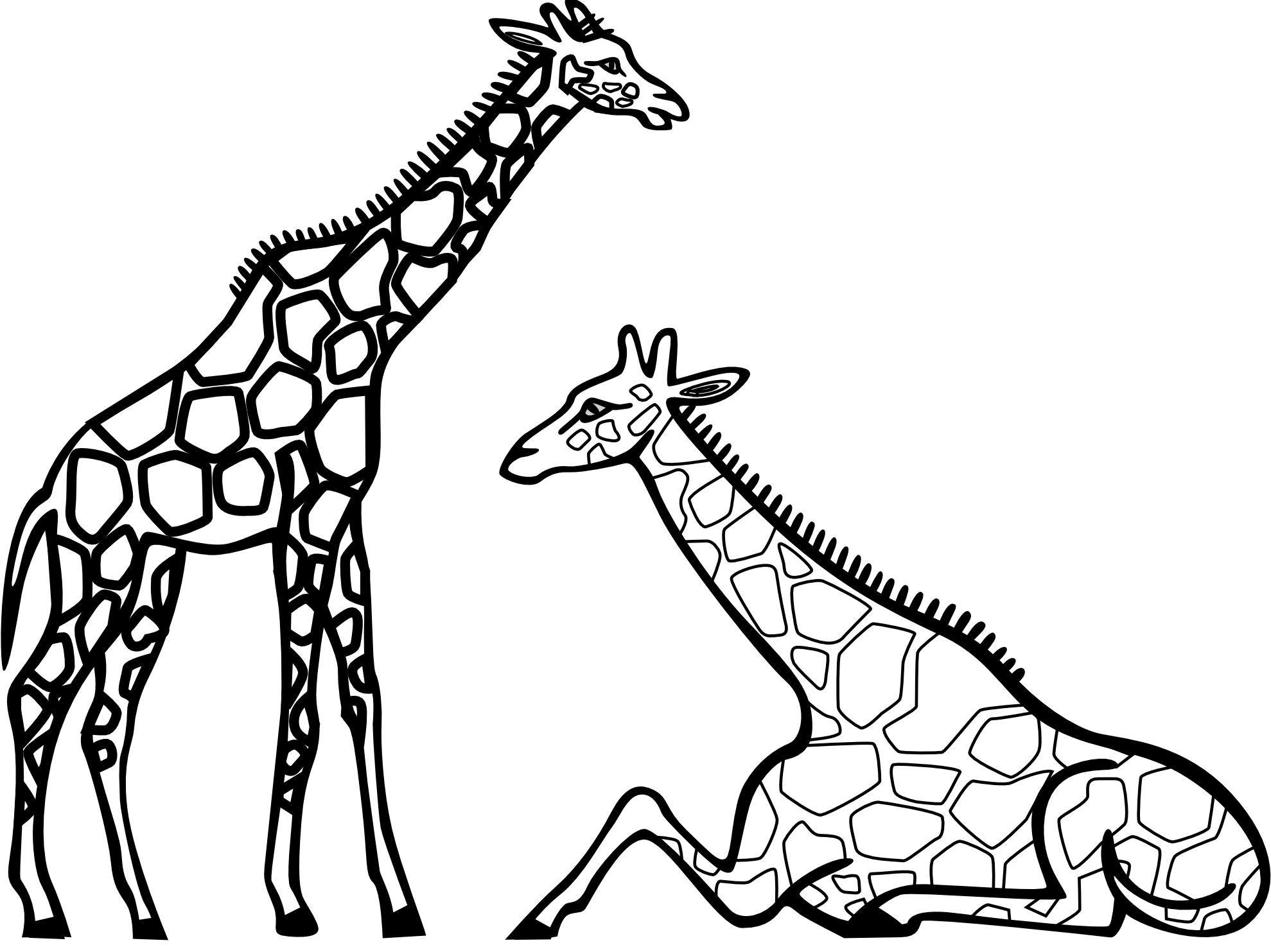 Cartoon Giraffe Black And White Widescreen 2 HD Wallpapers ...