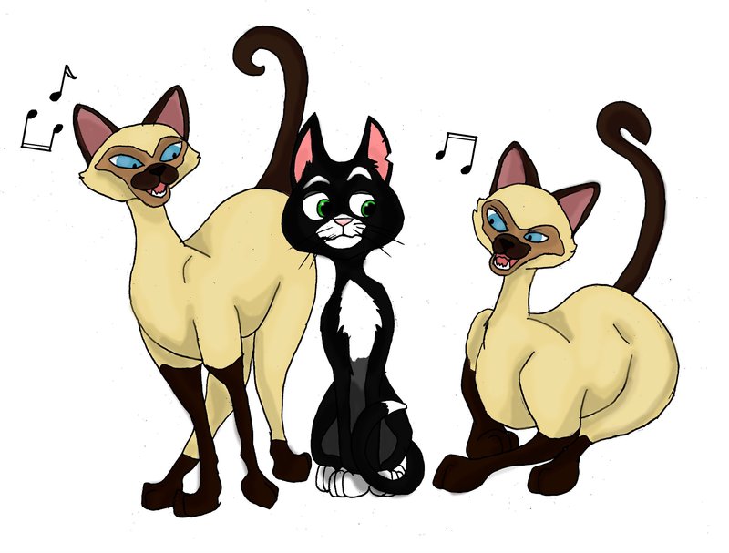 Siamese Cat Drawings