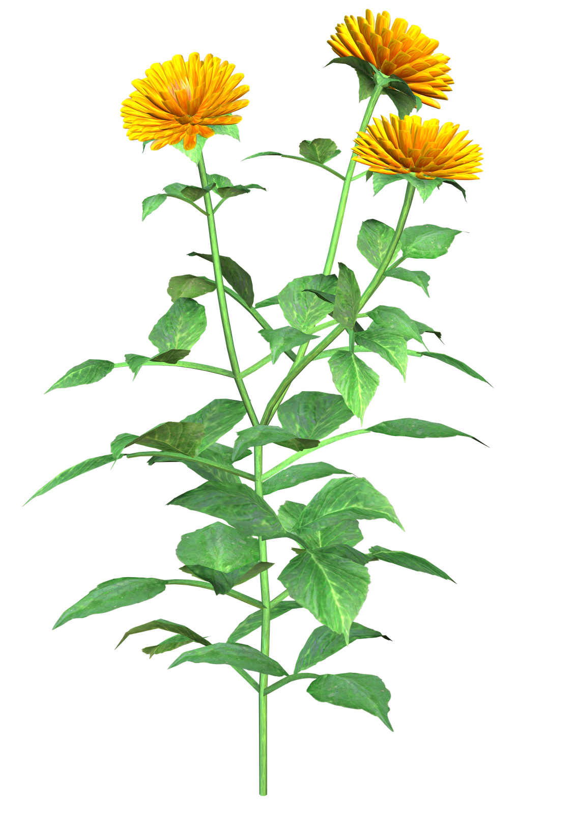 Free High Resolution graphics and clip art: misc png clip art
