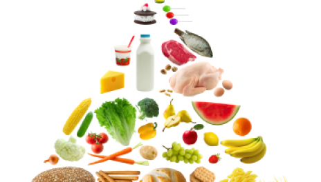 The Food Pyramid: A Balanced Diet Chart | Women's Health Encyclopedia