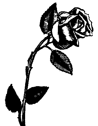 Rose Outline Clip Art - ClipArt Best