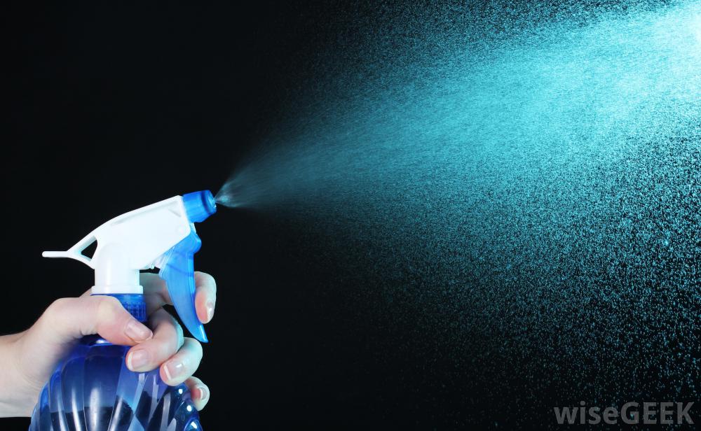 How Do I Choose the Best Flea Carpet Spray? (with pictures)