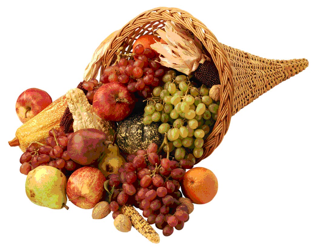 the Cornucopia horn of plenty - Survivalist Forum