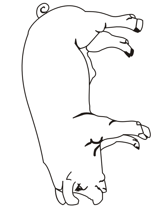 Easy Pig Drawing - AZ Coloring Pages