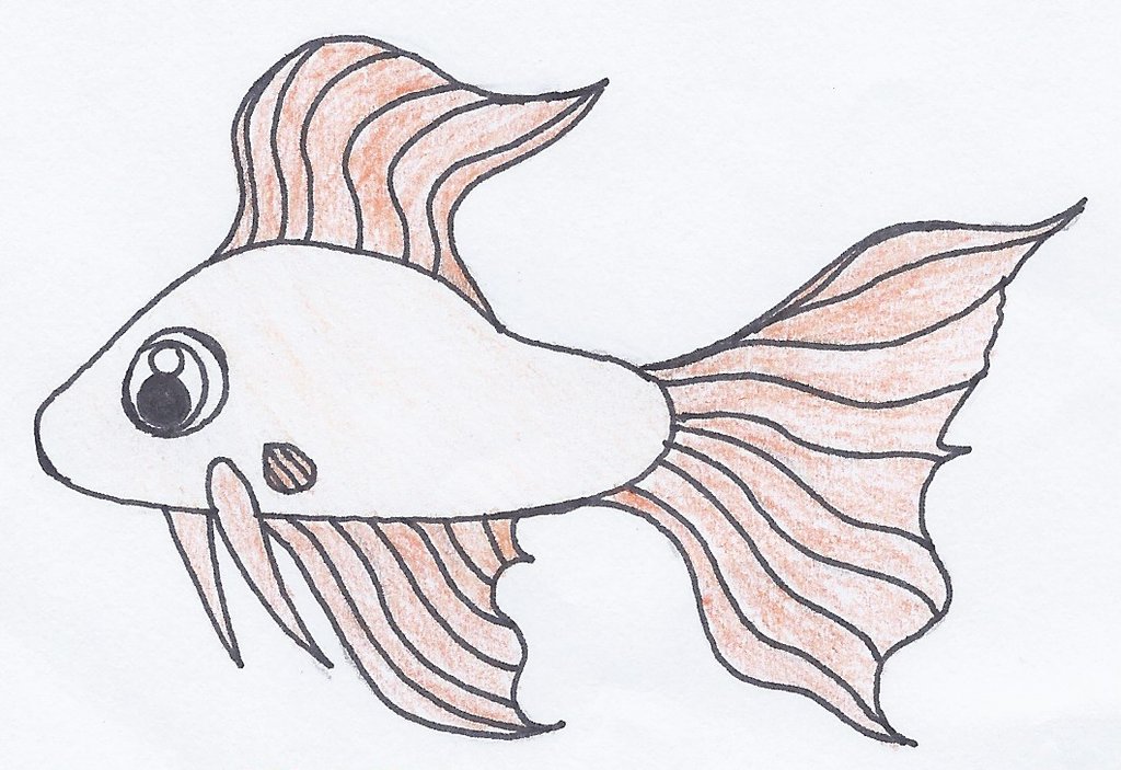 Fish drawing 1 by PrincessBelle1989 on DeviantArt