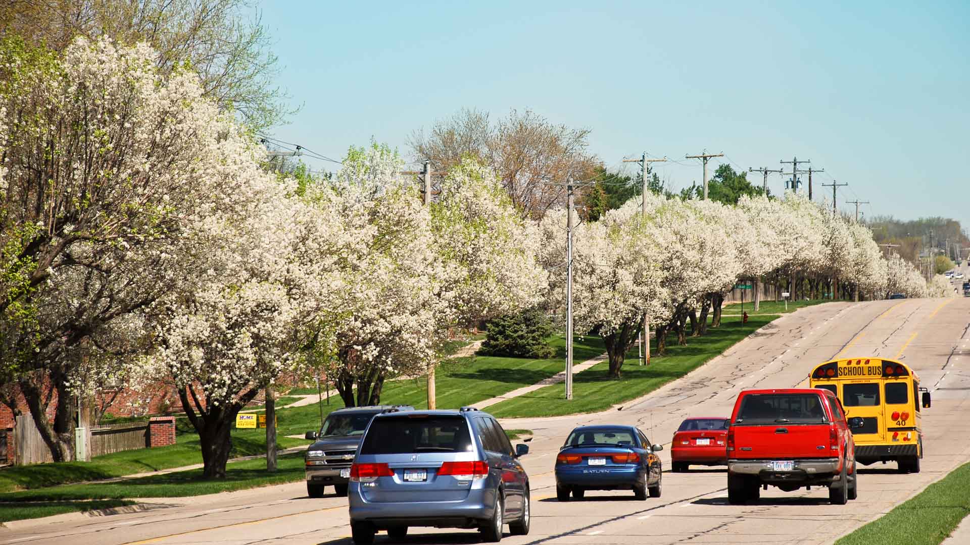 Tree Line USA | Arbor Day Foundation | Trees and Utilities working ...