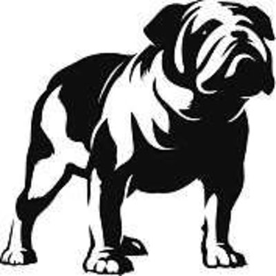 News - New Bulldogs logo | Page 8 | BigFooty AFL Forum