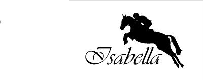 PERSONALISED NAME WITH SHOWJUMPING HORSE** DECAL FUN FUNKY WALL ...