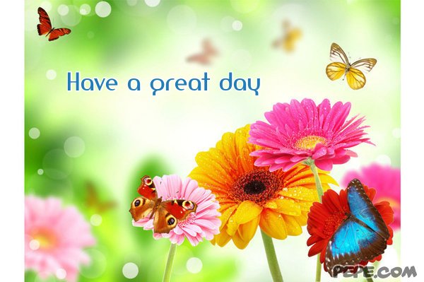 Have a great day!!