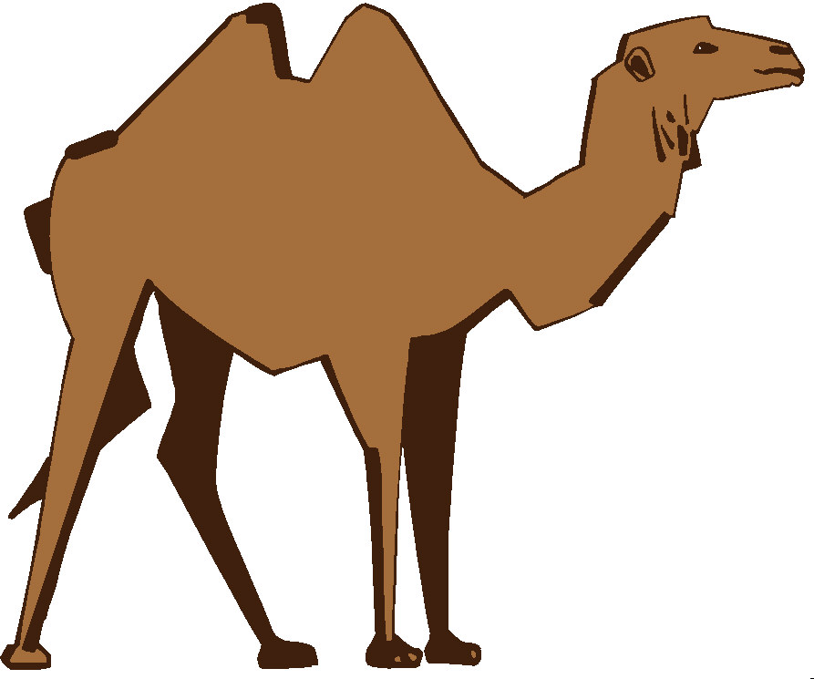 Animal graphics camel 733785 - Animal Image
