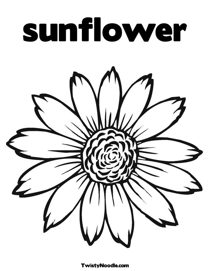 SUNFLOWER COLORING PICTURES « ONLINE COLORING