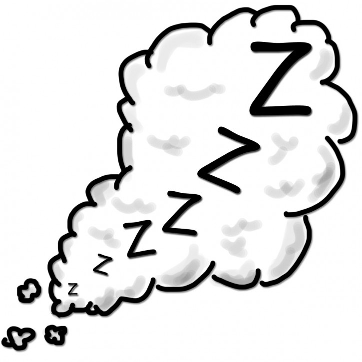 Having a Good Night Sleep in a Semi-Truck >> Truckers Post ...