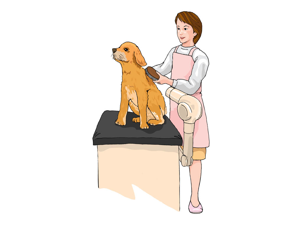 Free Grooming Vectors