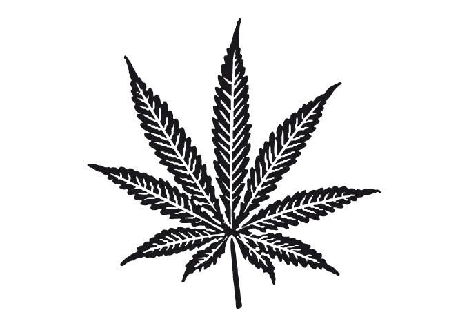 Cannabis Leaf Wall Decal - A high grade home decor