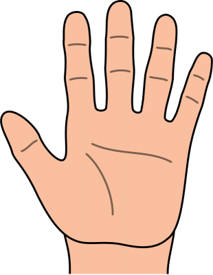 Back Of Hand Clip Art | Clipart Panda - Free Clipart Images
