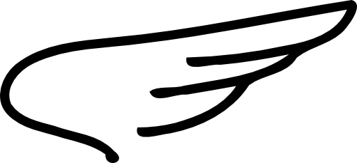 clipart-wing-512x512-3662.png