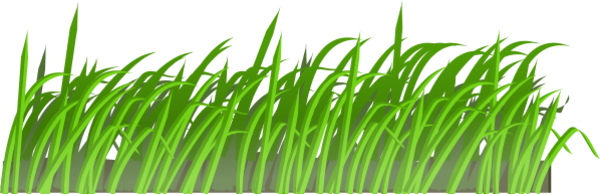 Grass-texture-12739-large.png