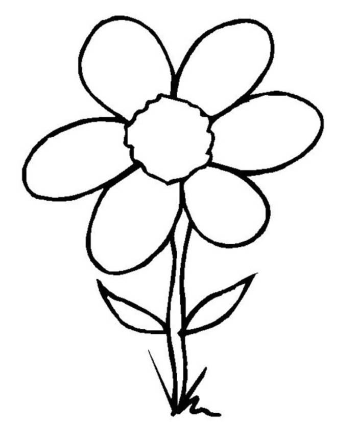 Line Drawing Simple Flower