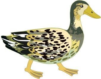 Duck Clipart Image | Clipart Panda - Free Clipart Images