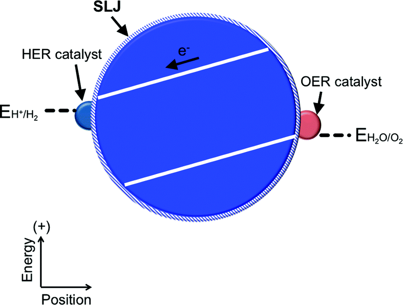 A taxonomy for solar fuels generators - Energy & Environmental ...