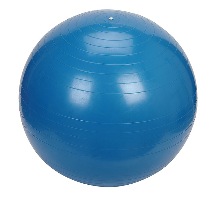 55cm exercise ball, abdominal ball, therapy ball, pilates ball ...