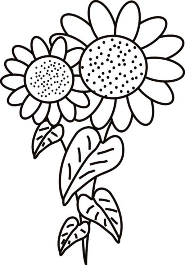 Unflower Coloring Pages Free 2