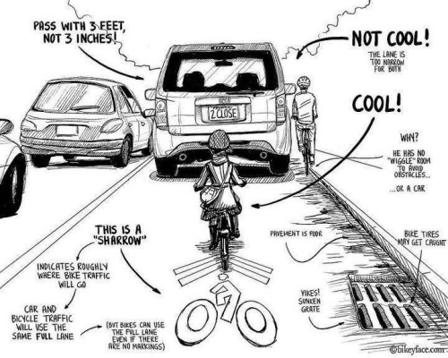 Tips on sharing the road with bikes [comic] - Holy Kaw!
