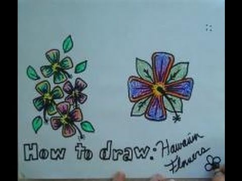 How To Draw: Hawaiian Flowers - YouTube