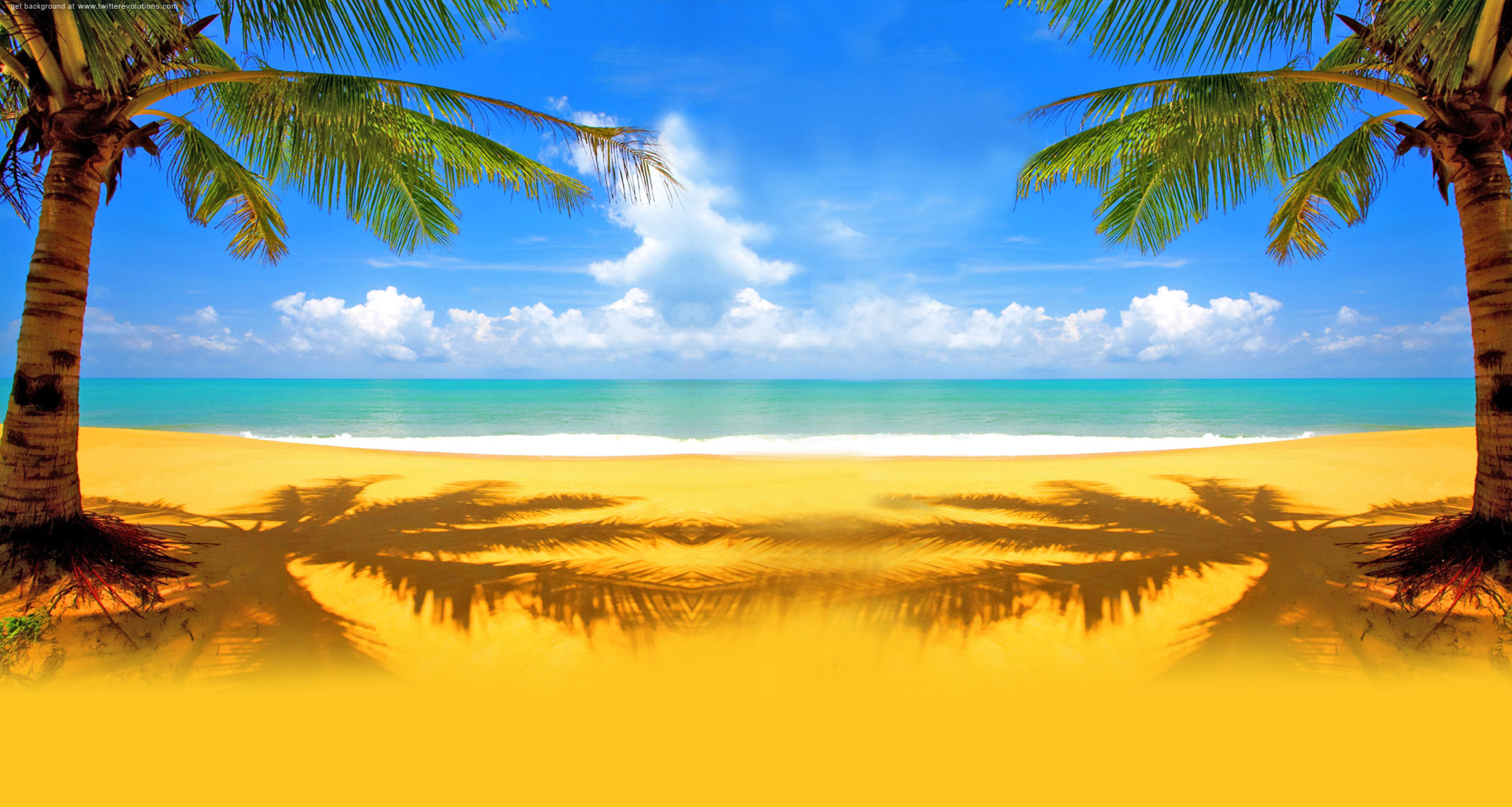 Twitter background with palm on a beach - Twitterevolutions