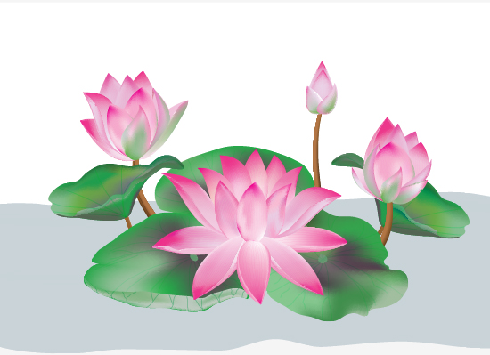 Lotus Drawing | DrawingSomeone.com