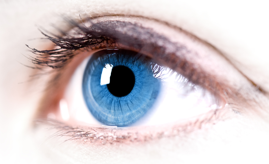 EB and the Eyes | EB Info World