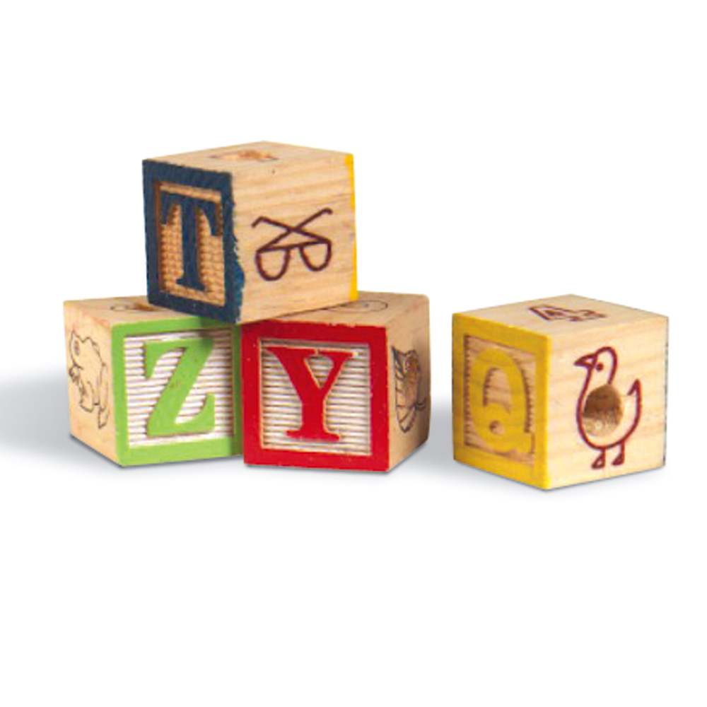Alphabet blocks: build your own bird toys at Drs. Foster and Smith