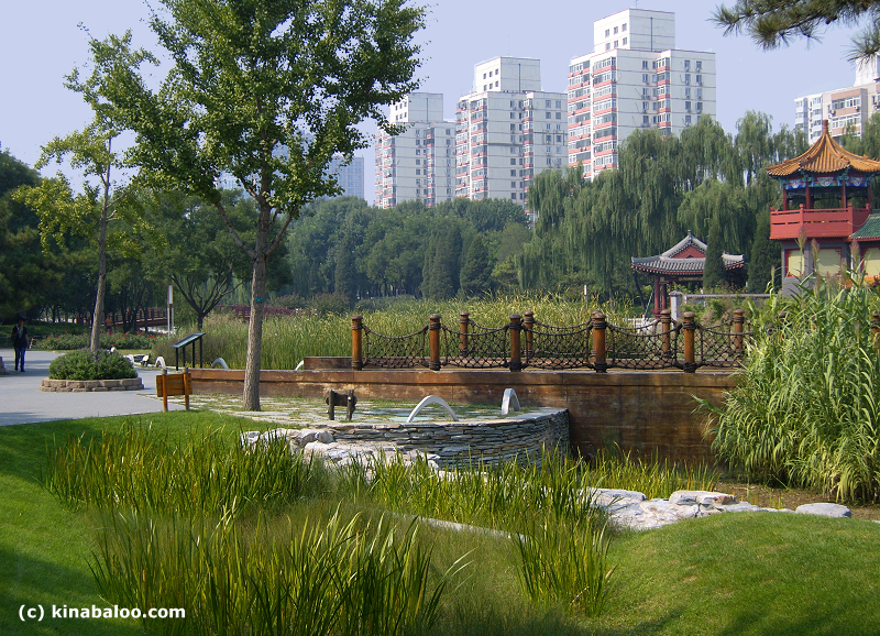Yuan Dynasty Dadu City Wall Park, Beijing (70 photos)