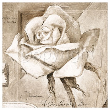 Rose Drawings, Rose Pencil Drawings, Drawing Of A Rose