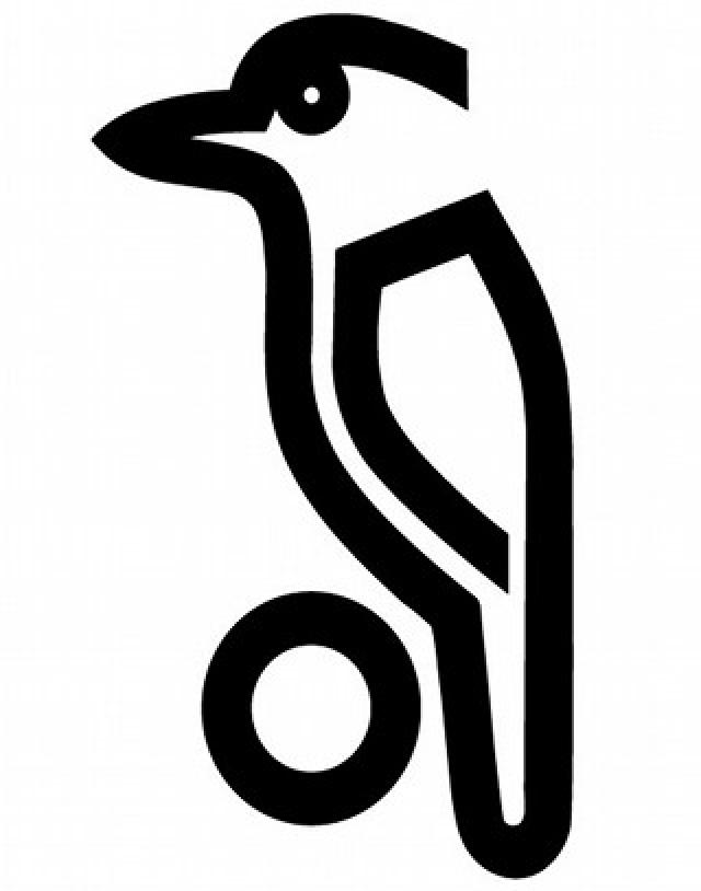 News > 1908 Sports Management