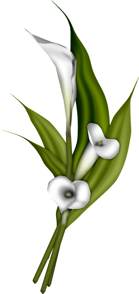 Calla Lily Decoration Png Clip Art Image Calla Lily Calla Clip Art ...