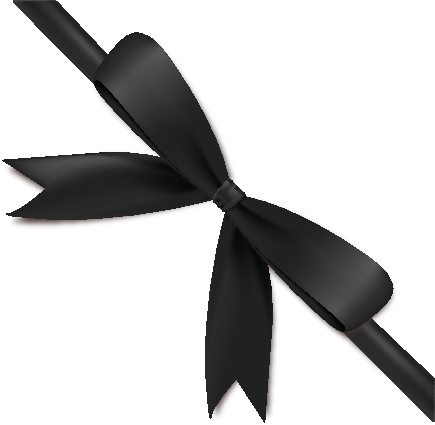 Black Bow Ribbon Icon3 Vector Data | SVG(VECTOR):Public Domain ...