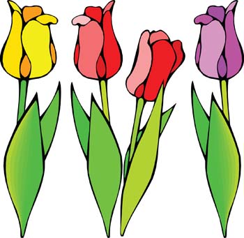 Tulip Free Vector / 4Vector