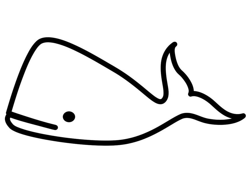 Coloring page whale - img 19454.