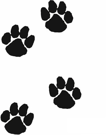 Paw Prints Dog - Peel & Stick Vinyl Wall Decal - ClipArt Best ...