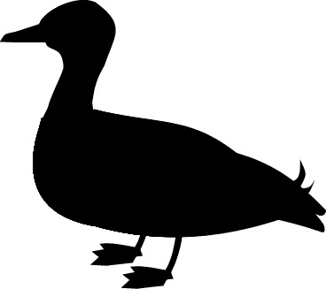 Duck Images Clip Art