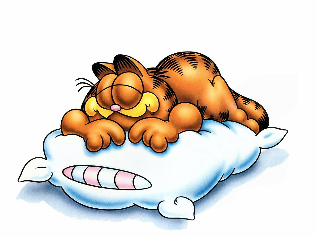 garfield-sleepy | Family and Autism