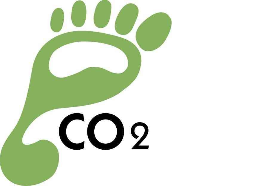Calculating Carbon Footprint For KidsFun Coloring | Fun Coloring